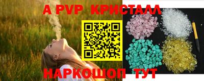 гидра Новозыбков