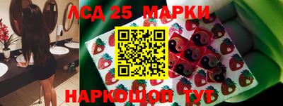 гидра Новозыбков