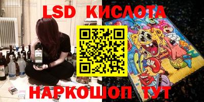 гидра Новозыбков