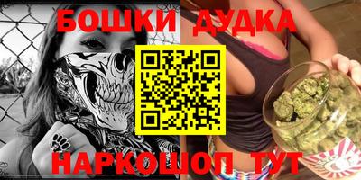 гидра Новозыбков