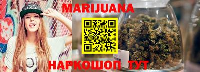 гидра Новозыбков