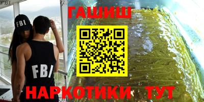 гидра Новозыбков