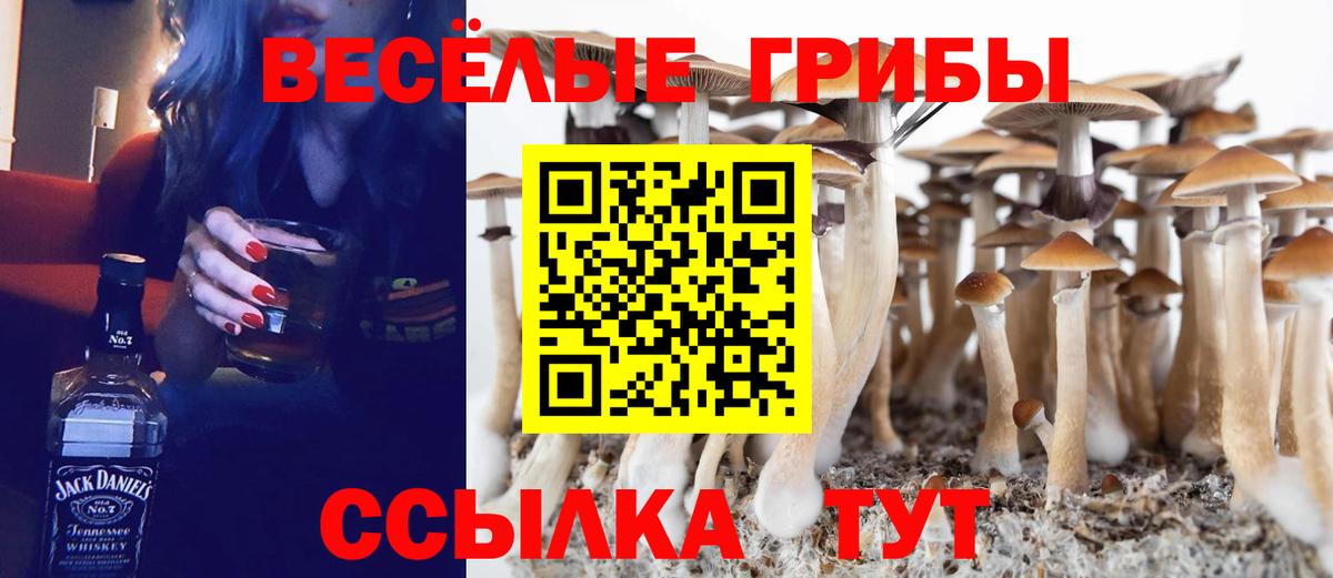 где можно купить   Псилоцибиновые грибы мухоморы  Вход с VPN  Серов 